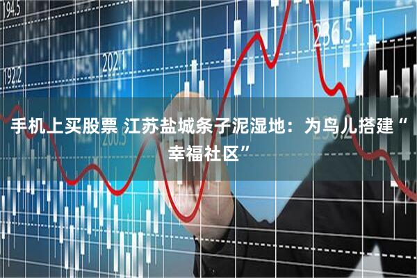 手机上买股票 江苏盐城条子泥湿地：为鸟儿搭建“幸福社区”